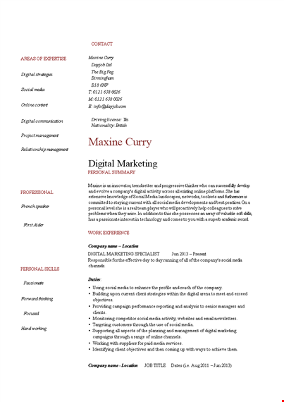 digital marketing professional resume - media, social, dayjob | company template