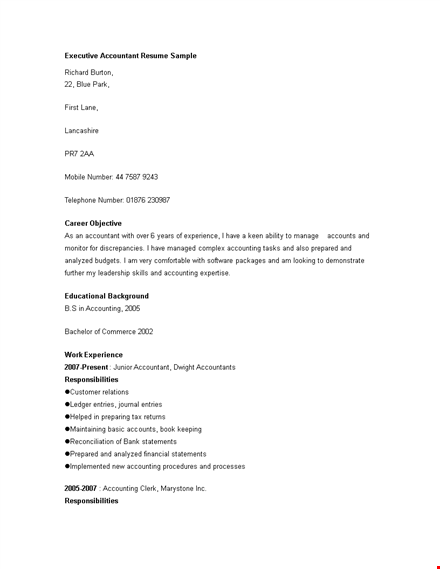 executive accountant resume sample template