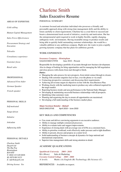 sales executive resume template