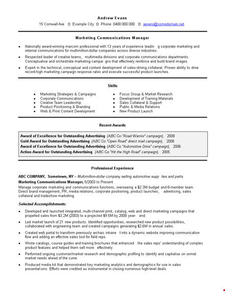 professional work experience resume template