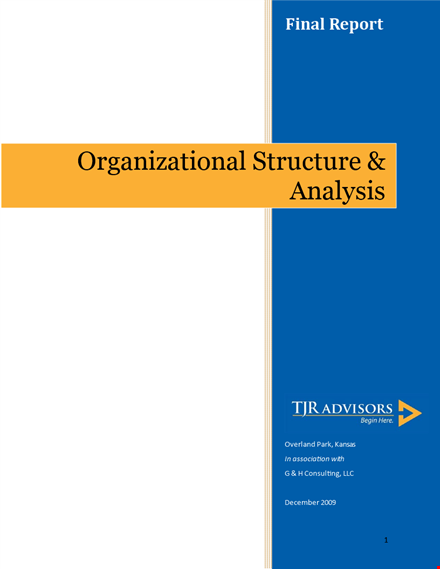 organizational structure analysis template template