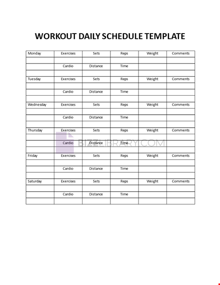 workout daily schedule template