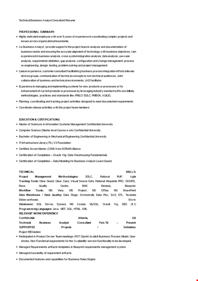 technical business analyst consultant resume template