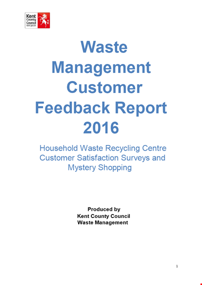 customer feedback report template