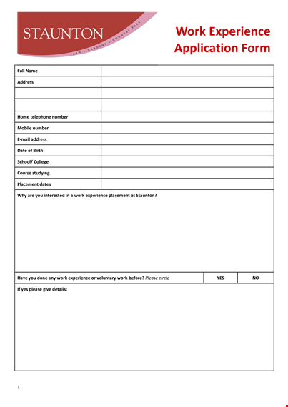 work experience application form template