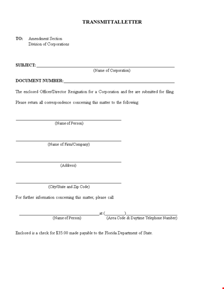 director resignation letter template template