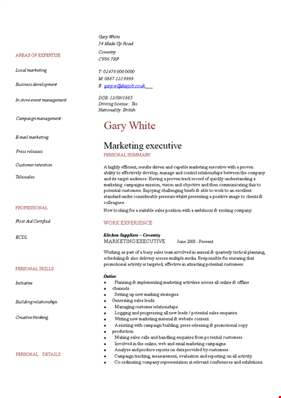 marketing executive resume - pdf format | marketing, sales, personal, customers template