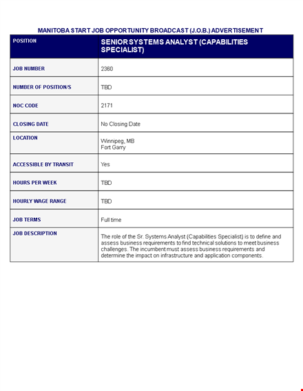 senior system analyst job description | business | application | systems | requirements template