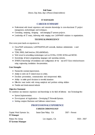 professional it manager resume template