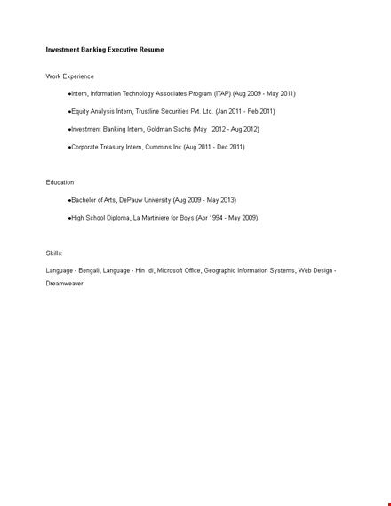 investment banking executive resume template