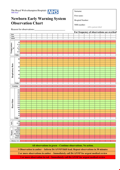 newborn baby chart | hours, observation, observations template