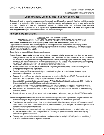 sample chief finance officer resume - expert in finance, accounting, and systems template