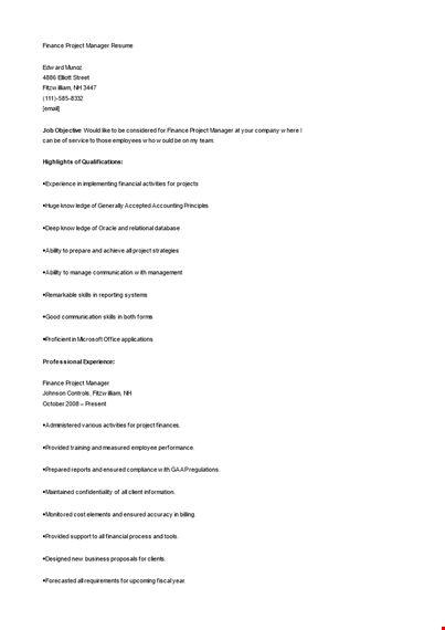 finance project manager resume template
