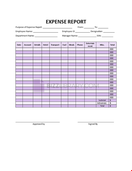 expense report template template
