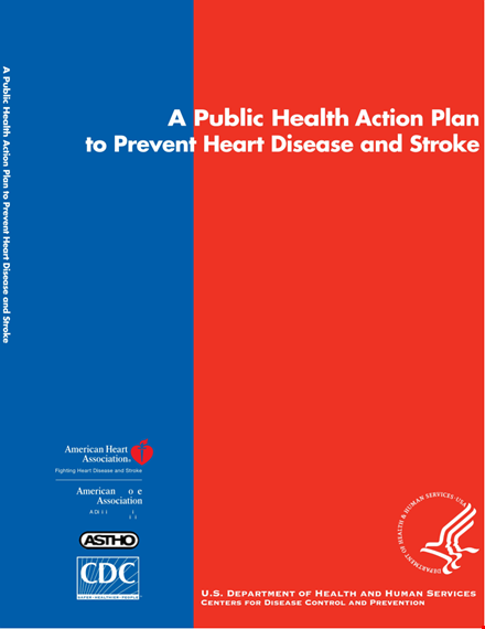 public health action plan: promoting health, preventing disease, and enhancing public well-being template