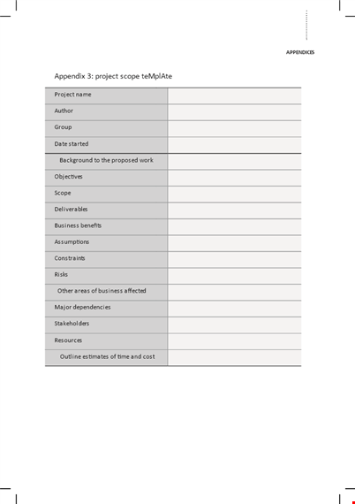 project scope example - business scope & appendixes template