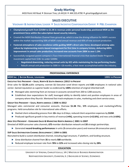 sales executive job resume template