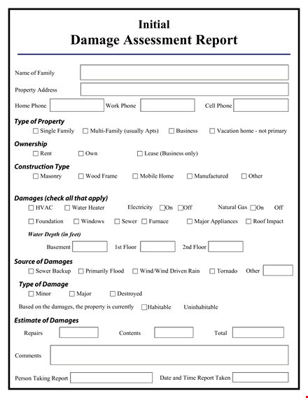 damage assessment template