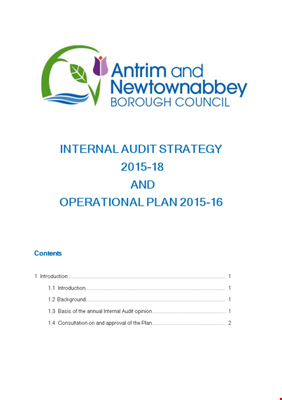 internal audit action plan template