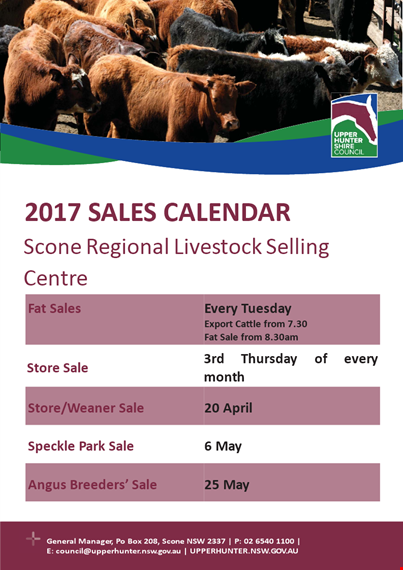 sales calendar in pdf template