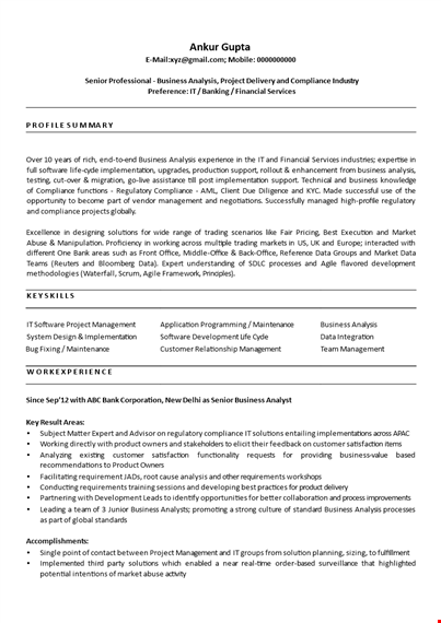 it business analyst resume template