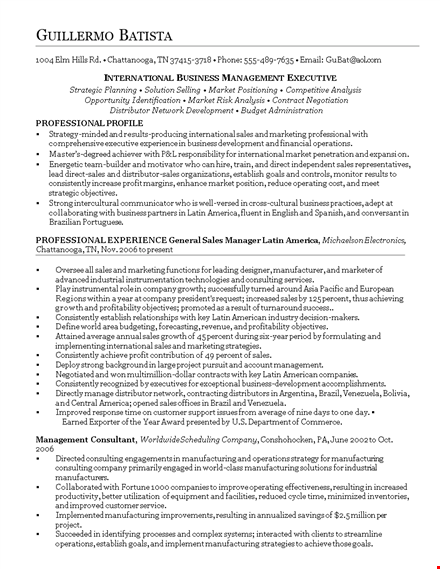 resume for international business management executive template