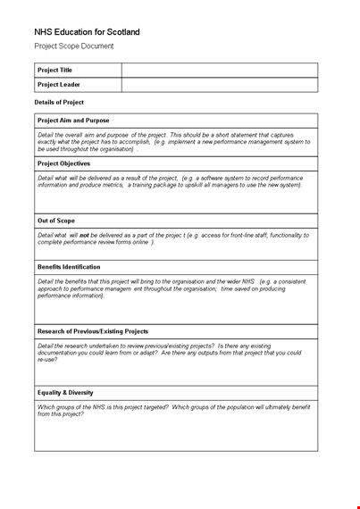 example template: "project scope example | performance detail | project template