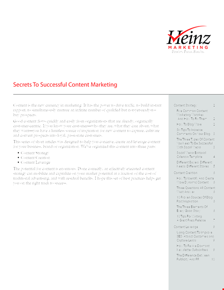 successful content marketing example template