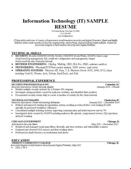 it work resume example template