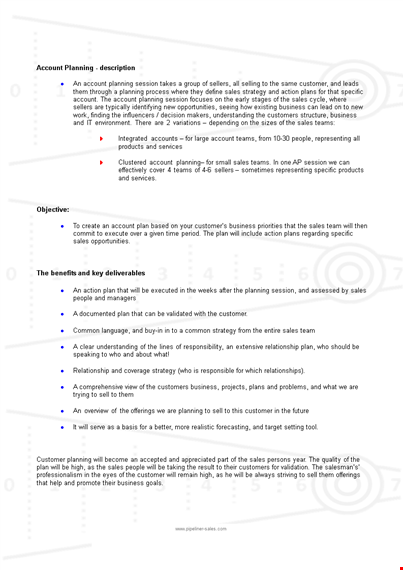 strategic sales account plan template