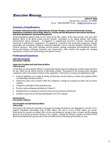 senior finance executive resume - expert company & financial management template