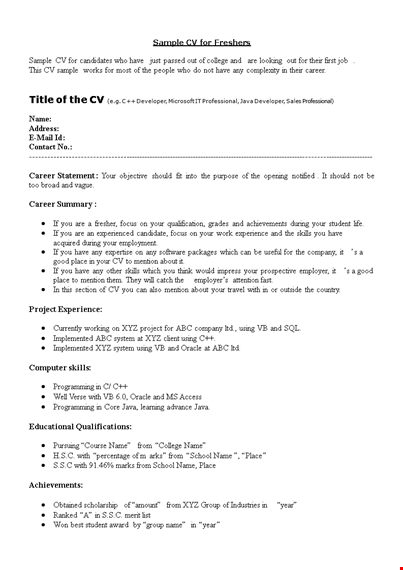 resume format for software developer template