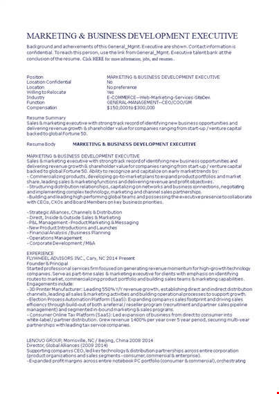 marketing and business development executive resume template