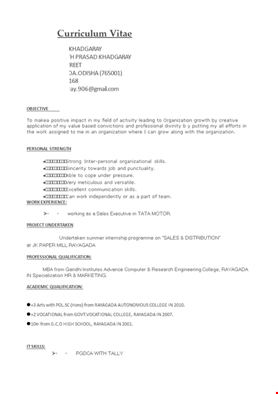 professional marketing resume format template