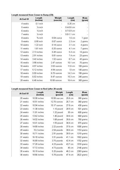 fetal weight length chart template