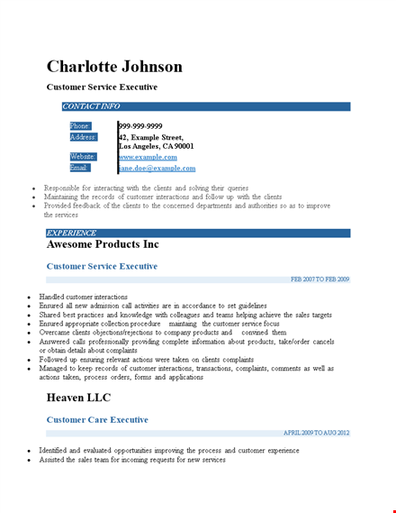 executive customer service resume template - professional design & client-focused format template