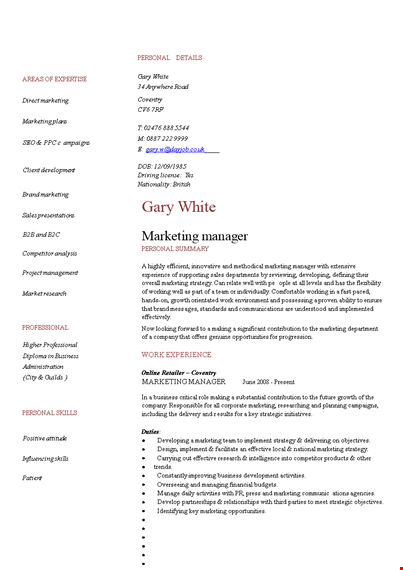 professional marketing manager resume template