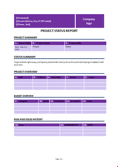 status report template template