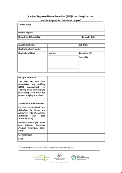 clinical audit template