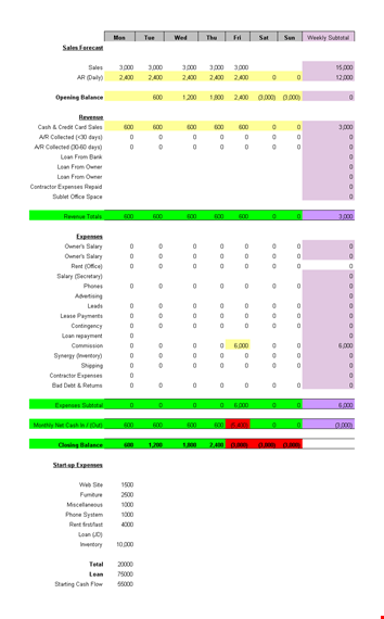 daily cash flow statement template