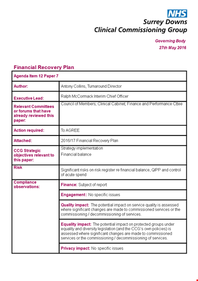 financial recovery plan template template