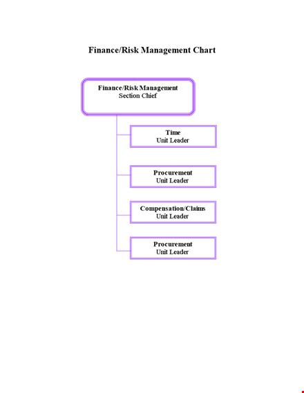 finance risk management chart template template