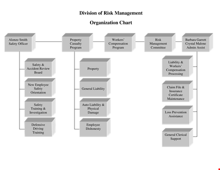 risk management organizational chart template template