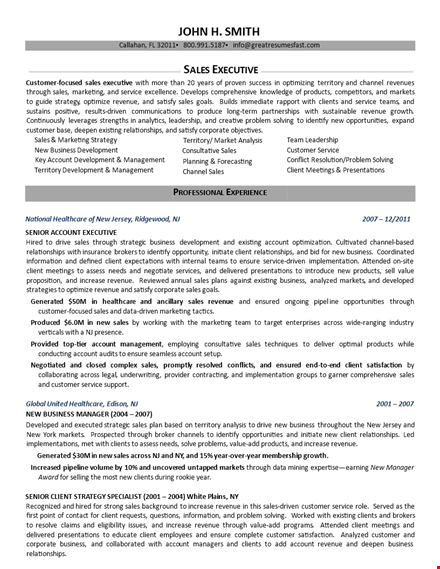 free sales executive resume template