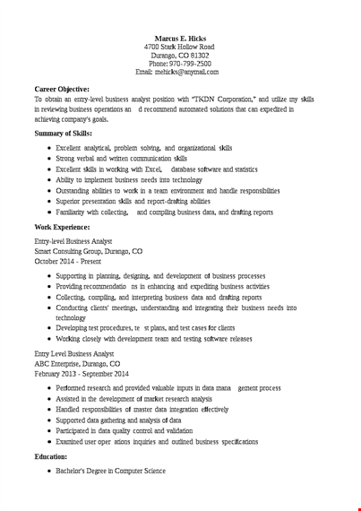 entry level business analyst it resume template