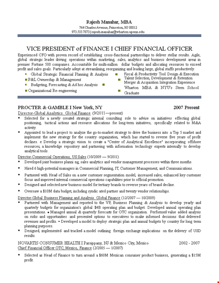 chief finance officer resume template