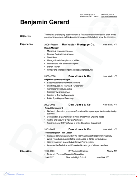 sales resume for investment banking | branch & management | technical skills template