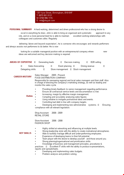 sales planning manager resume template