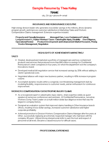 sample insurance executive resume template