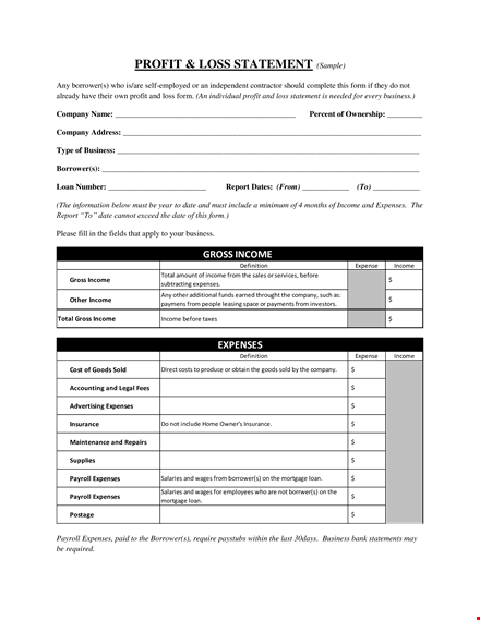 profit and loss statement form for small business template